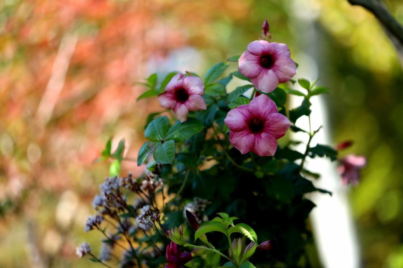 一天天变老本是生命的自然轨迹，不必焦虑。我们能做的，是在往后的日子里守住生