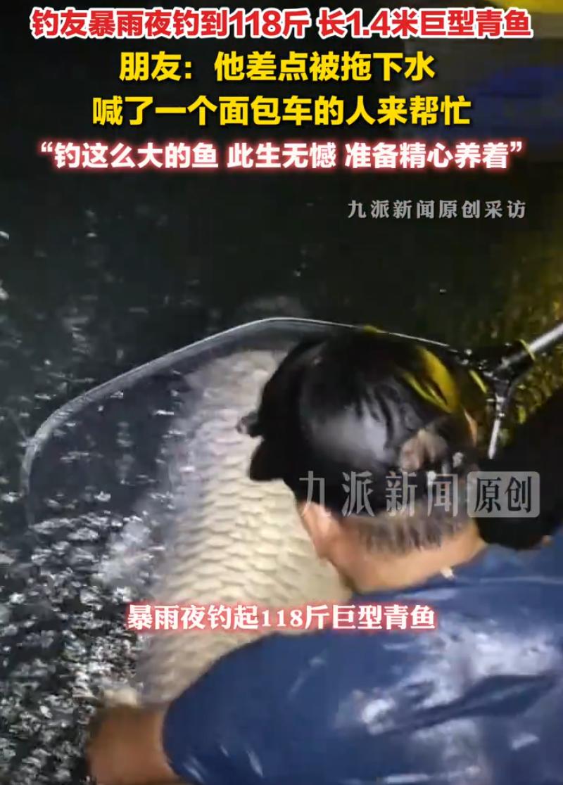 “此生无憾了！”广西河池，一男子暴雨夜去夜钓，直接钓到了一条118斤重的巨型青鱼