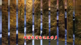 一首情歌对唱《 爱你错错错 》爱你错错错 - 路