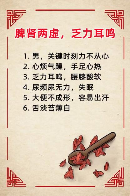 脾肾两虚，乏力耳鸣