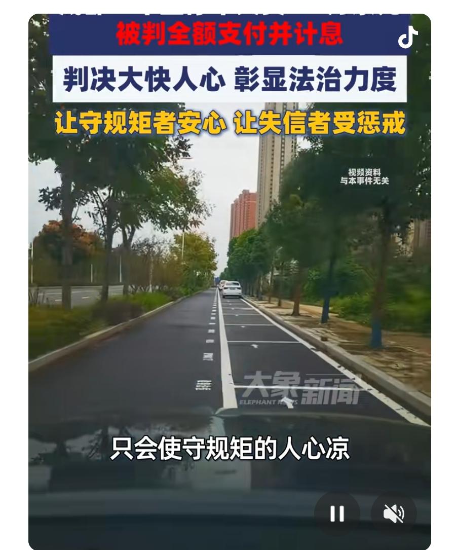 别以为停车费是小事，欠费不还，真能“躲猫猫”？近日，成都自由贸易试验区人民法院