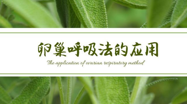 干货|兰兰老师为你讲解女性健康之暖巢理疗方案