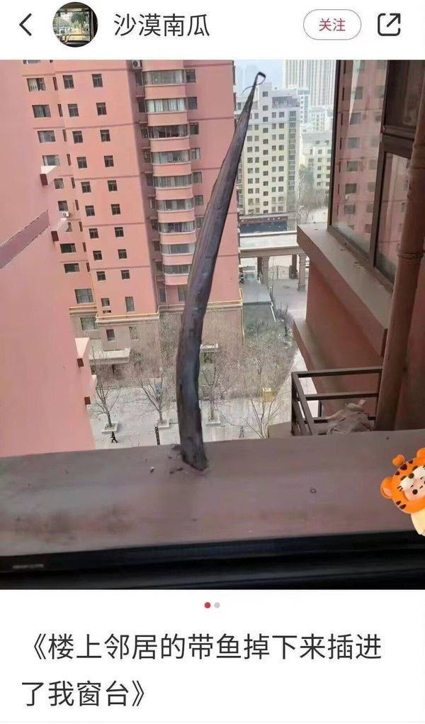 车若初见假如那时窗台有人探头往下看...不敢想😯😯​​​