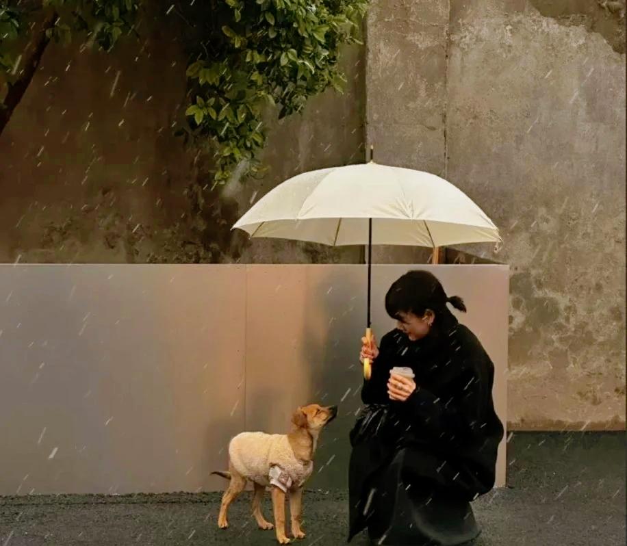 刘震云：），做你自己就很好。没必要感激任何人，养猪只是为了吃肉，并不是为了让猪