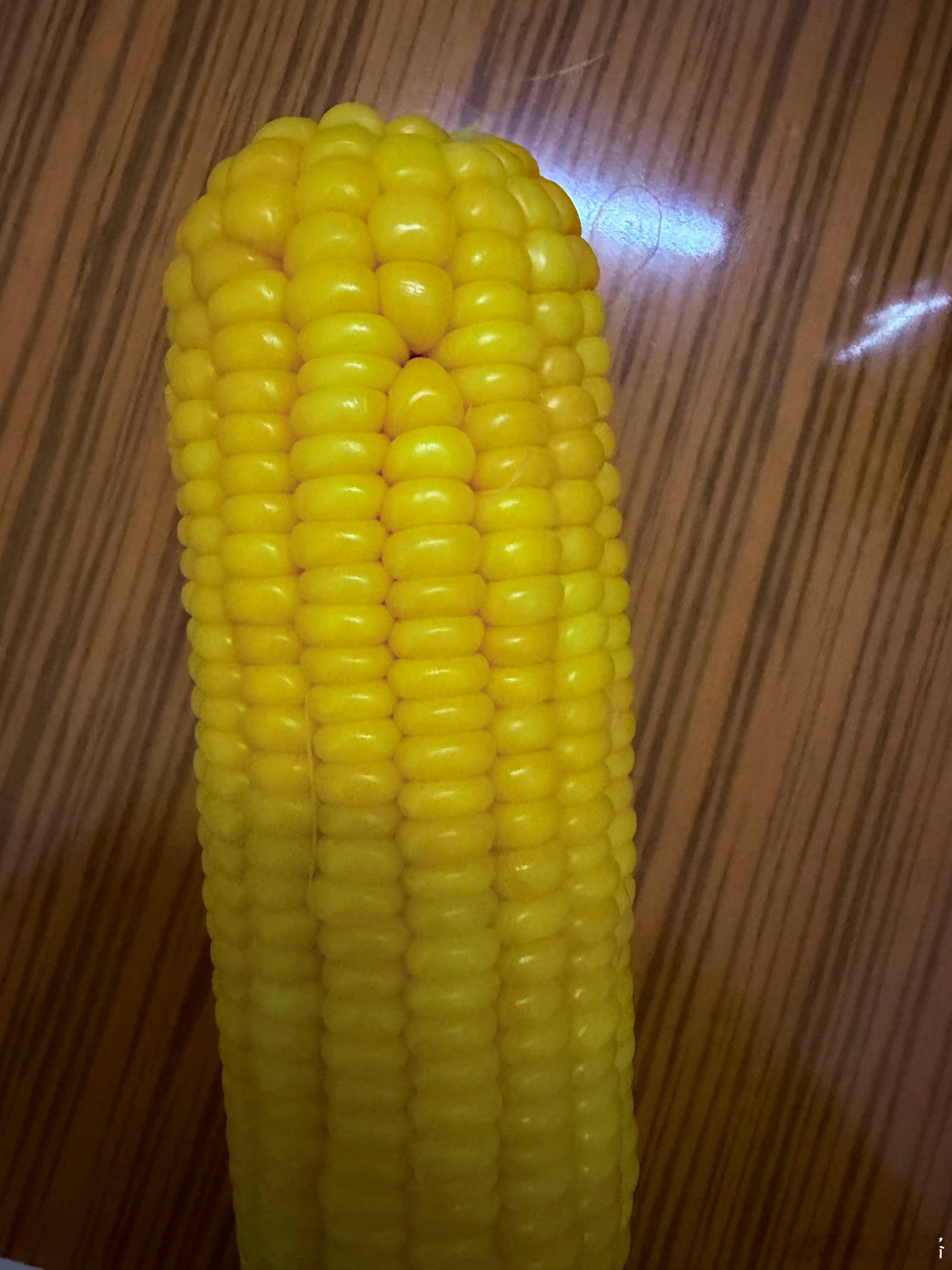 学生们蒸的玉米🌽&养了好多年的流浪猫主子[爱心]​​​