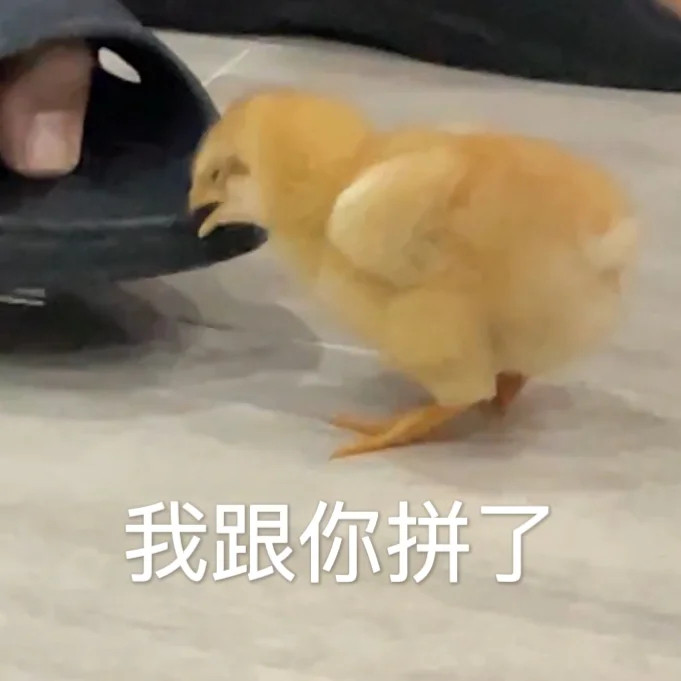 每天一条冷知识鸡是不是恐龙的后裔？相关研究团队通过化石研究证实，恐龙演化成了鸟