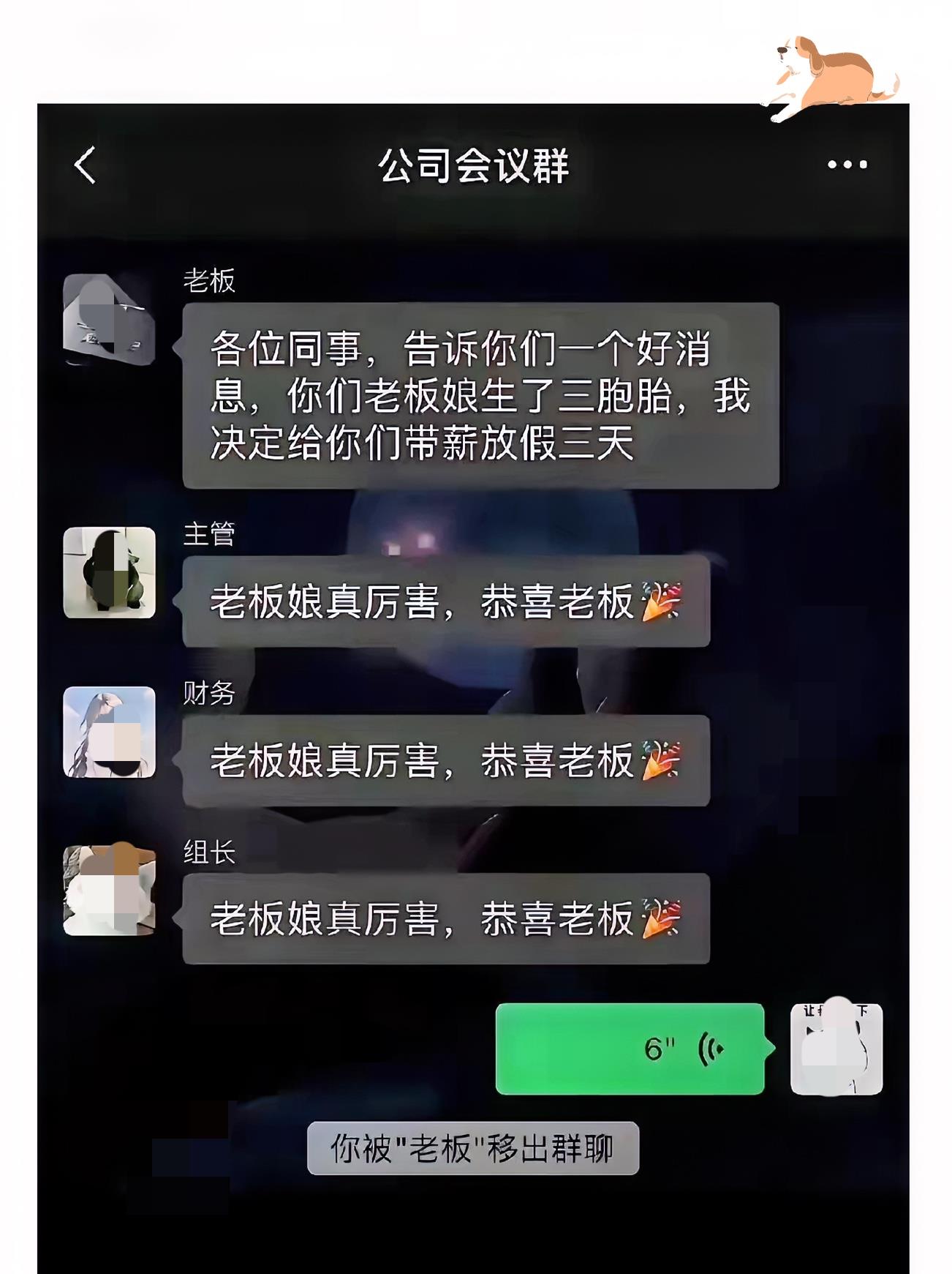不太懂到底说了啥就被移出群聊了
