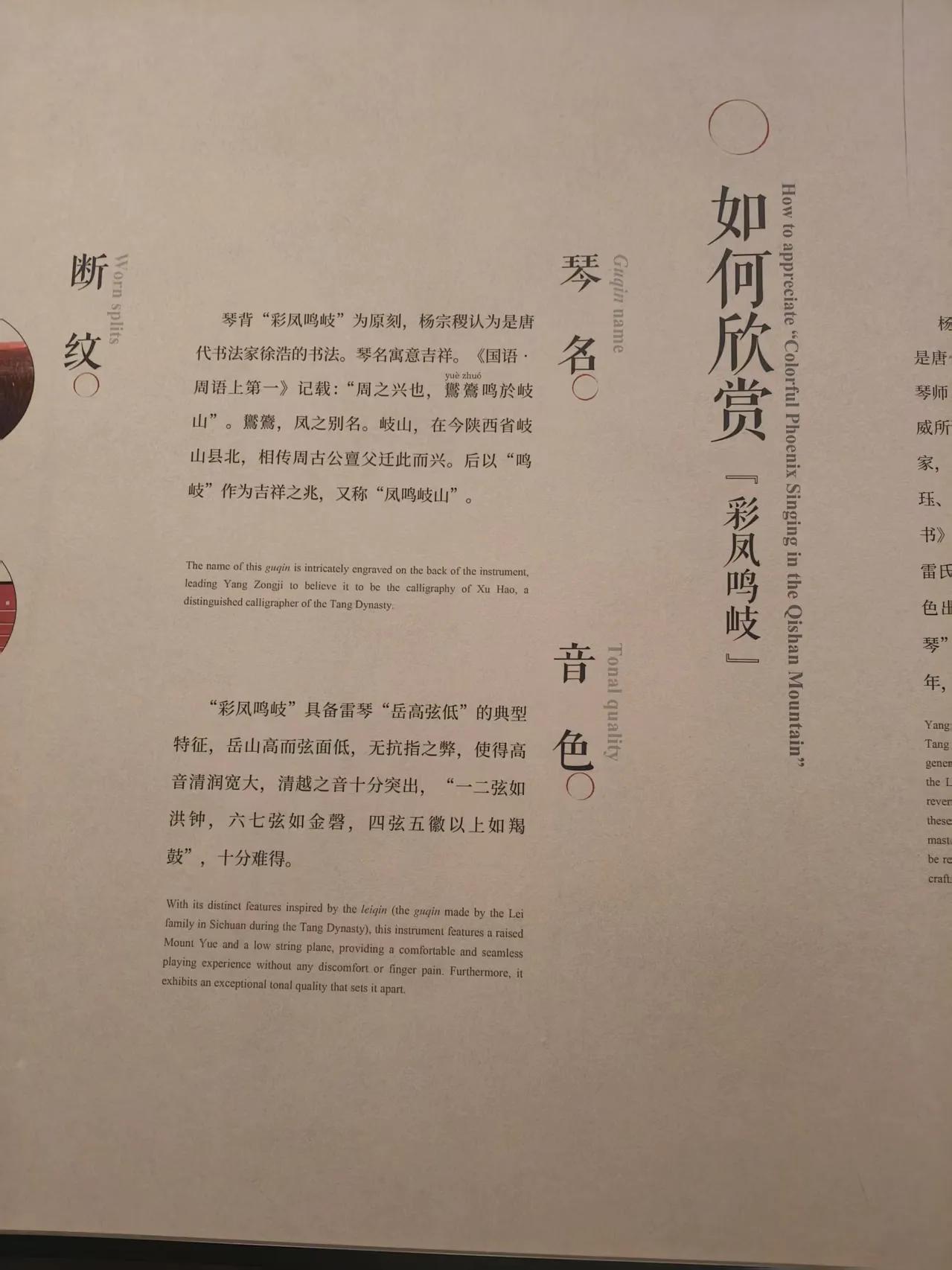 今年高考作文被批得挺惨，说它毫无逻辑和真实，只会在牢笼里抒情、莫名其妙联想。我有