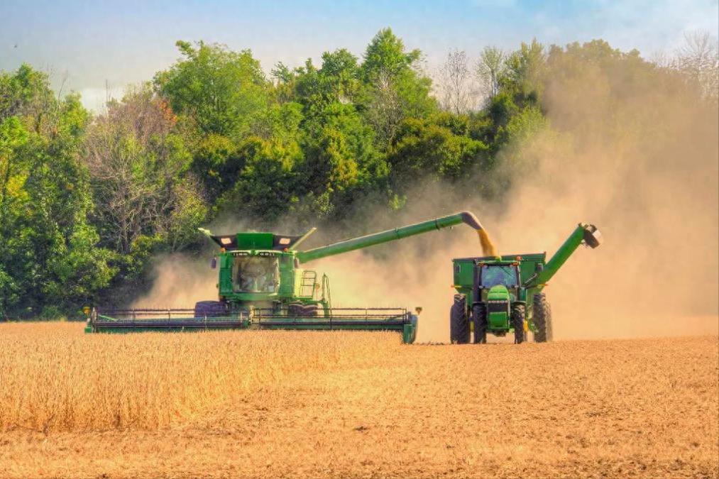 美媒哀叹：西方粮商的好日子到头了，中国再也不会为其买单了！最近，华尔街日报等