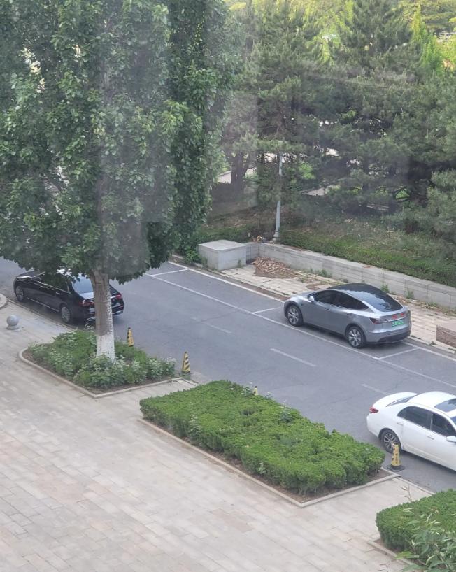 我有个朋友，负债20多万，选择不还了。现在是彻底躺平。，找工作，不社交，不刷卡