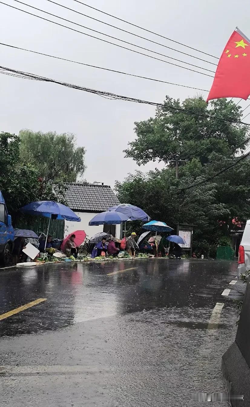 浙江的老一辈人真的是太勤快了。难怪人家都羡慕浙江的孩子。先说说我父母吧，都是