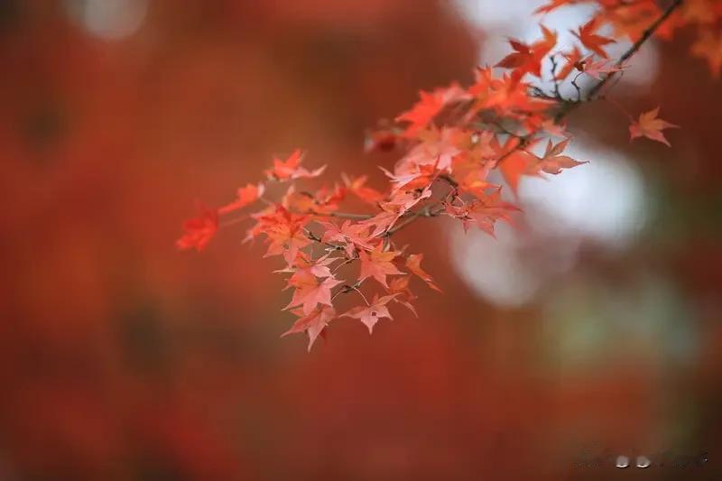 你有没有发现，现在的孩子大学毕业后，不像当年的我们急着找工作谋生了，而是待在家里