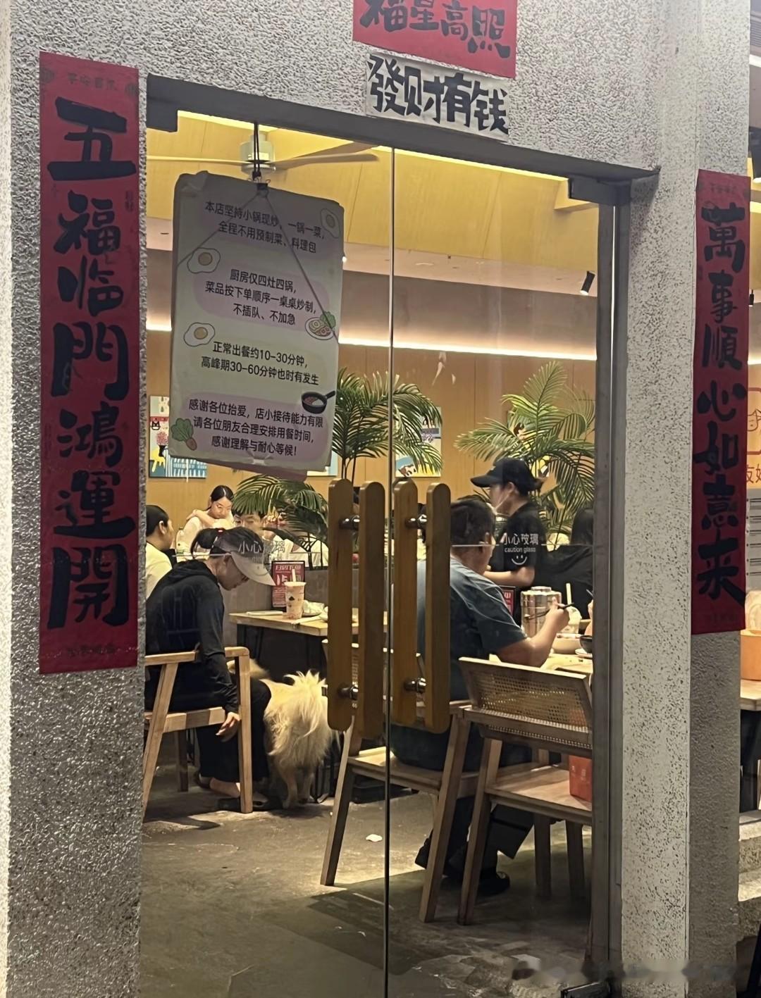 一家非宠物友好的餐厅里，没有任何工作标识的边牧被店家以“持证导盲犬”的名义放进用