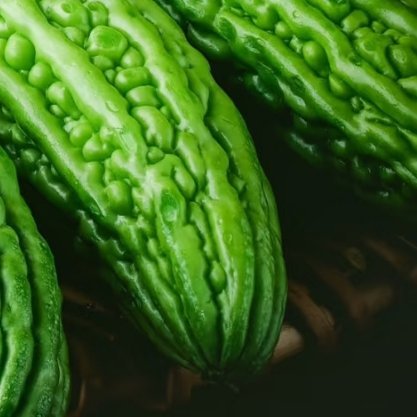 苦瓜的种植方法一、选种与催芽：选择饱满、无病虫害的苦瓜种子，用温水浸泡6-8