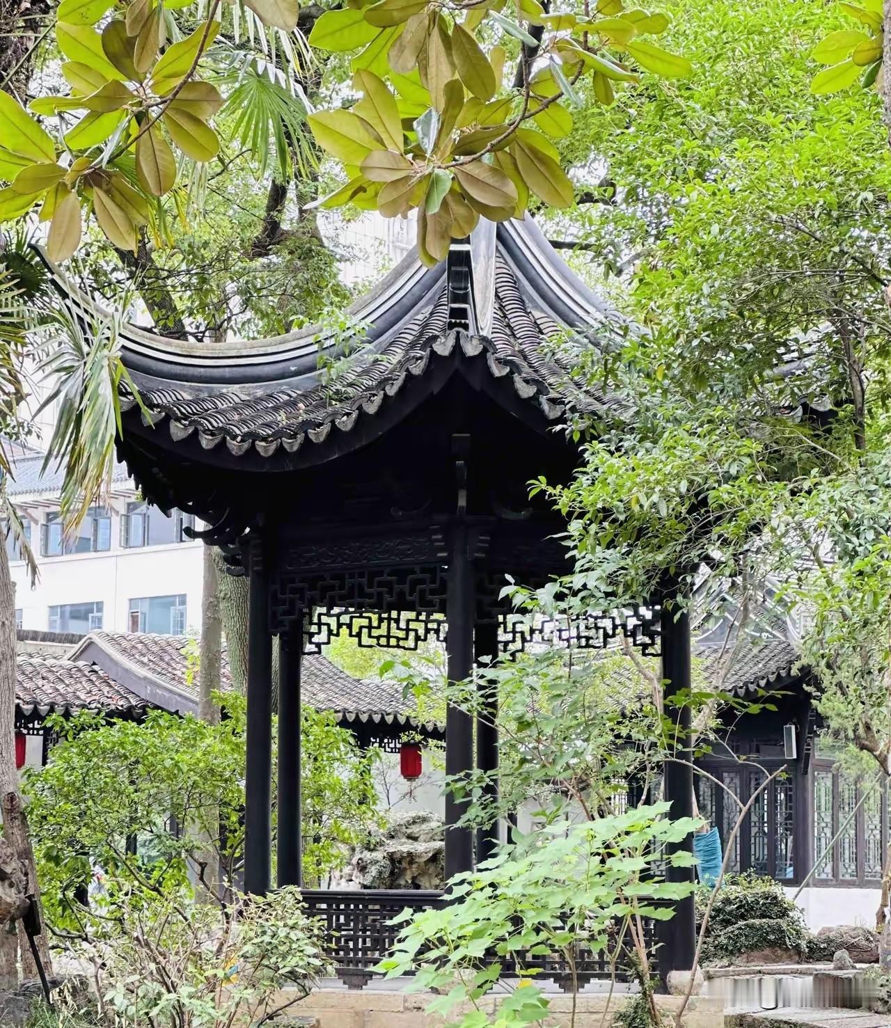 我服了，真的，今天彻底被一个62岁的保安大叔给“教育”了。​人家62岁，月薪3