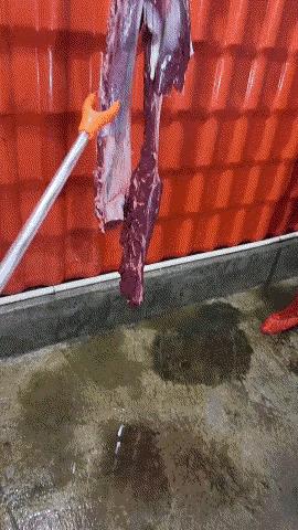 这肉谁敢吃啊[惊恐]