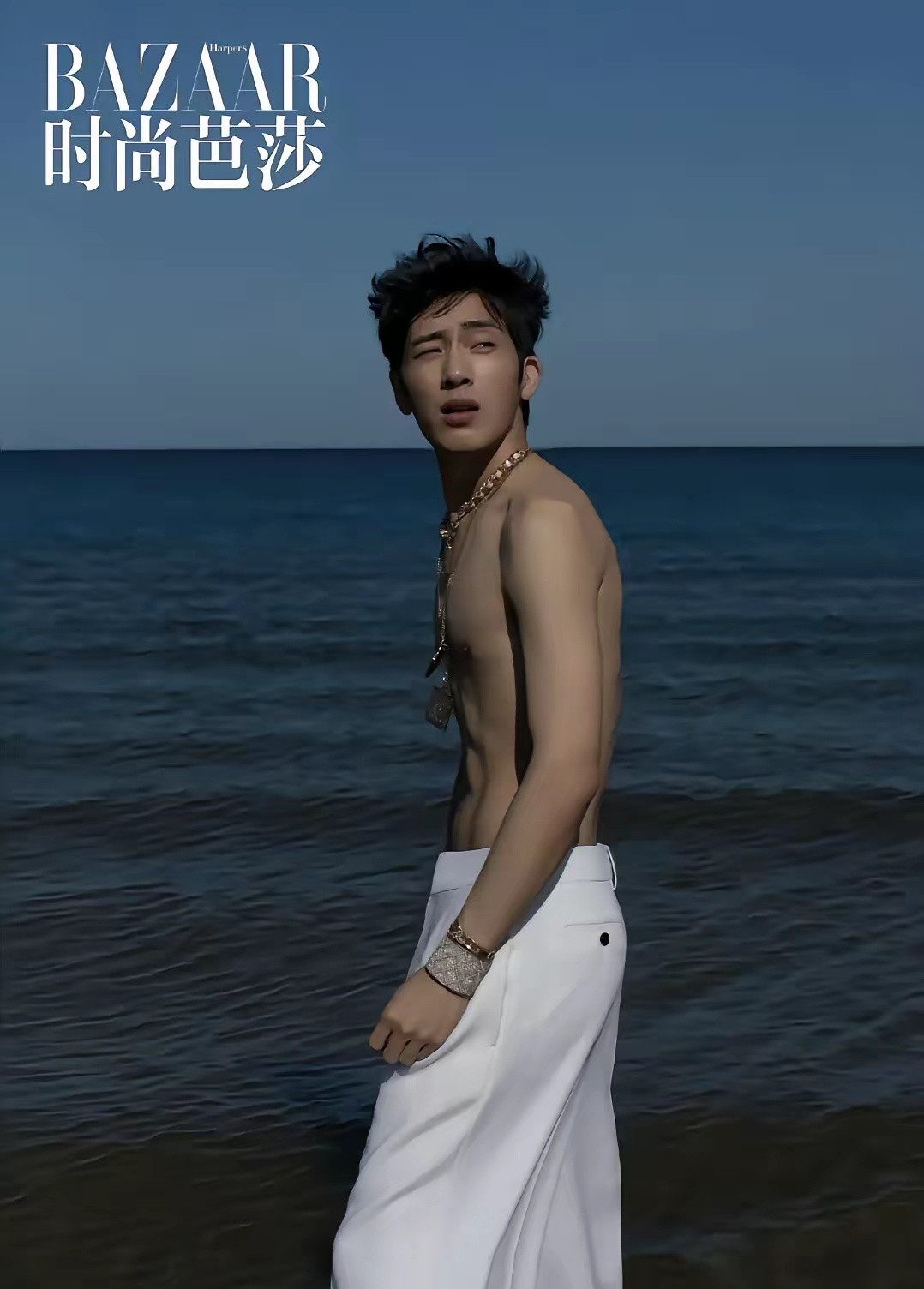 井柏然年轻的时候很帅，老得也很快。