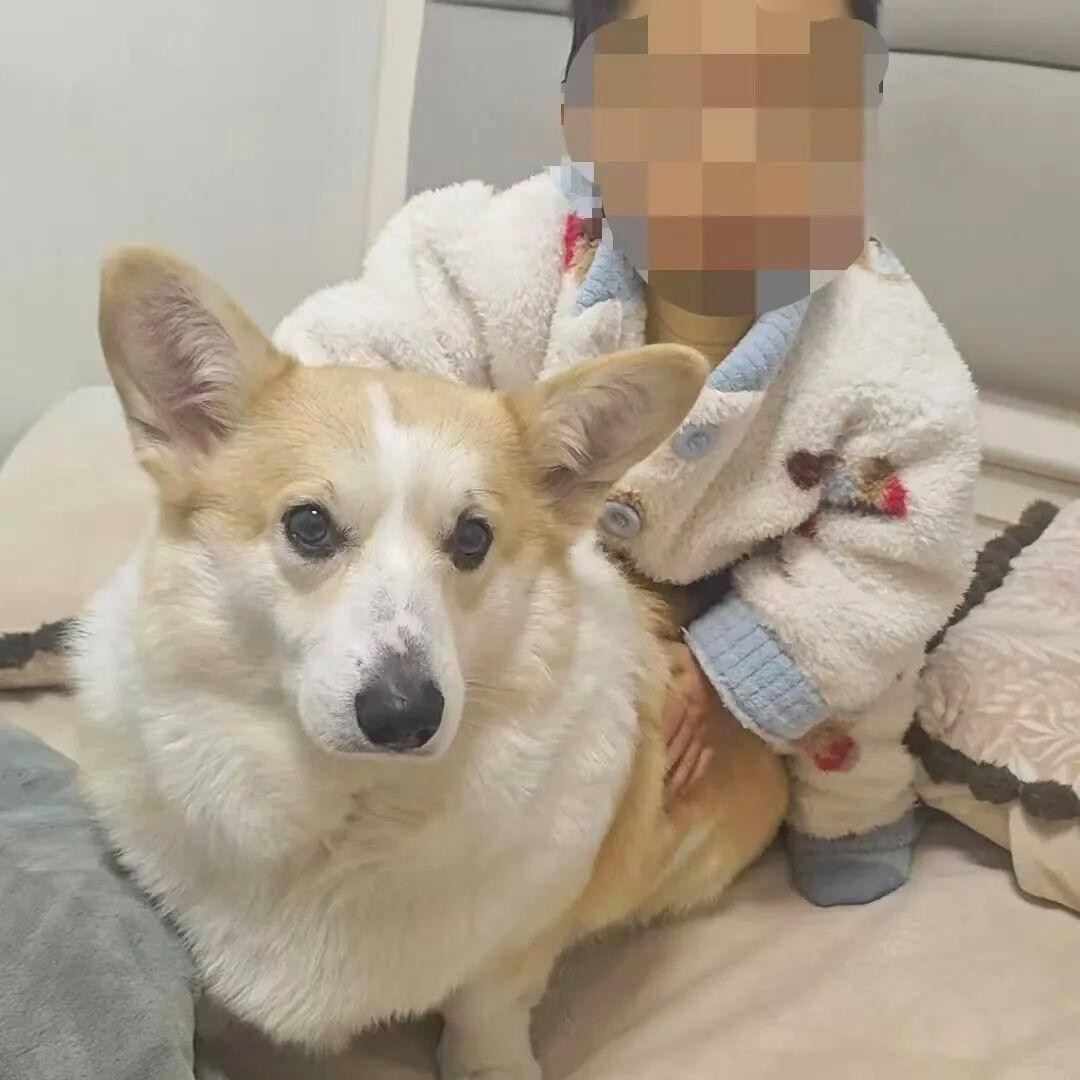 重庆2岁幼童18楼坠亡悲剧始末近日，重庆发生一起令人痛心的高空坠楼意外，一名仅2岁2个月的幼童不幸从