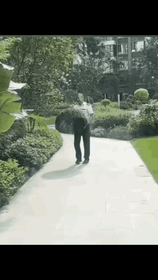 我还可以相信什么，下次到公园去看一下，哈哈。