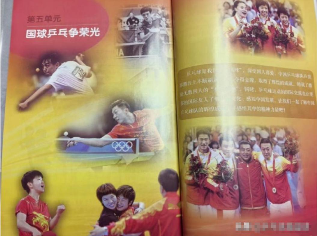 不管你承认与否，孙颖莎入选2026版小学教科书，绝对实至名归，原因只有一个，