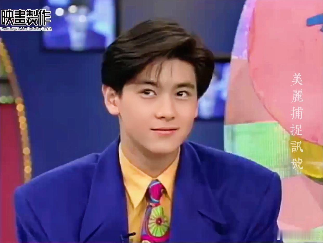 年轻时的林志颖简直就是漫画脸，这个长相不管在什么年代，放到哪个亚洲国家，都可以出