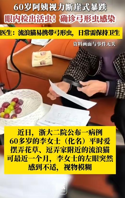 “太吓人了！”8月18日报道，浙江，一60岁阿姨就喜欢逗弄流浪猫，前段时间，她感