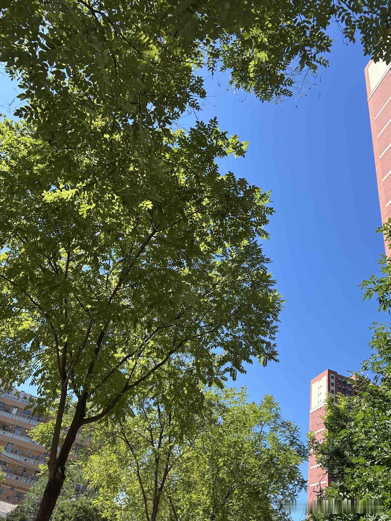 考上大学了，还要提前学习啊！这种培训班可以了！高考完的暑假，就应该是睡到自然