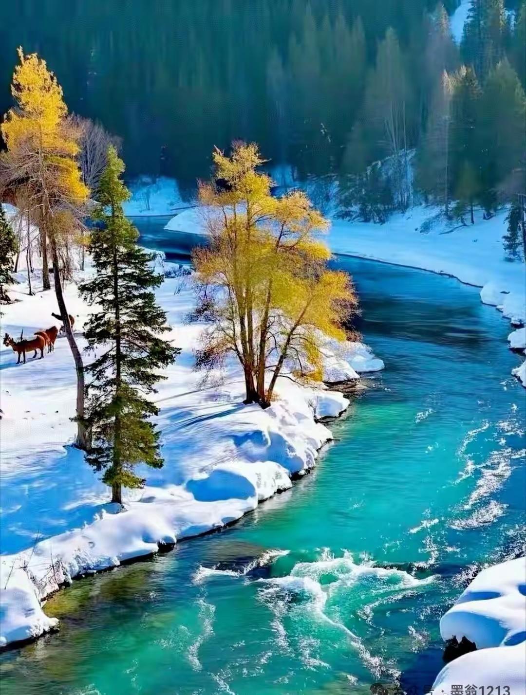 别太执着，要看透人心。心是易变的，此刻不离不弃，转眼可能因为现实各自远去。