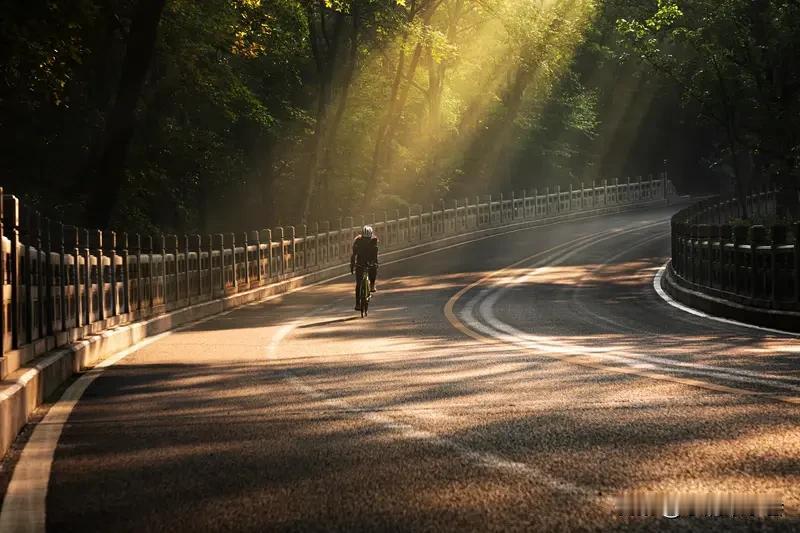 清晨起来，最美好的事莫过于拉开窗帘，让第一缕阳光洒在脸上。就像给生活按下了重启键