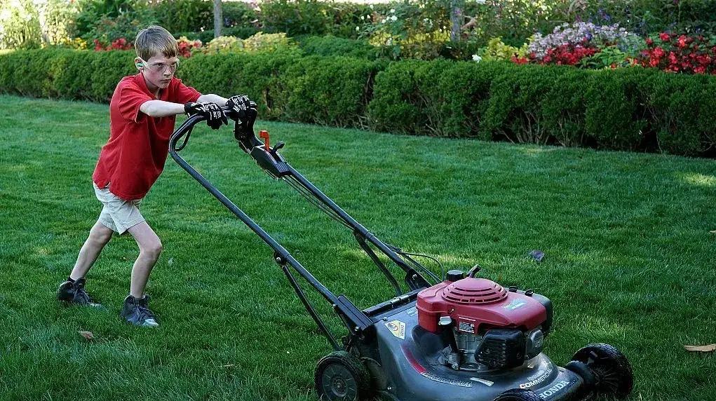 移民澳洲的人，现在大部分人都后悔了！​不是环境不好，而是太好了，好到让你不得不