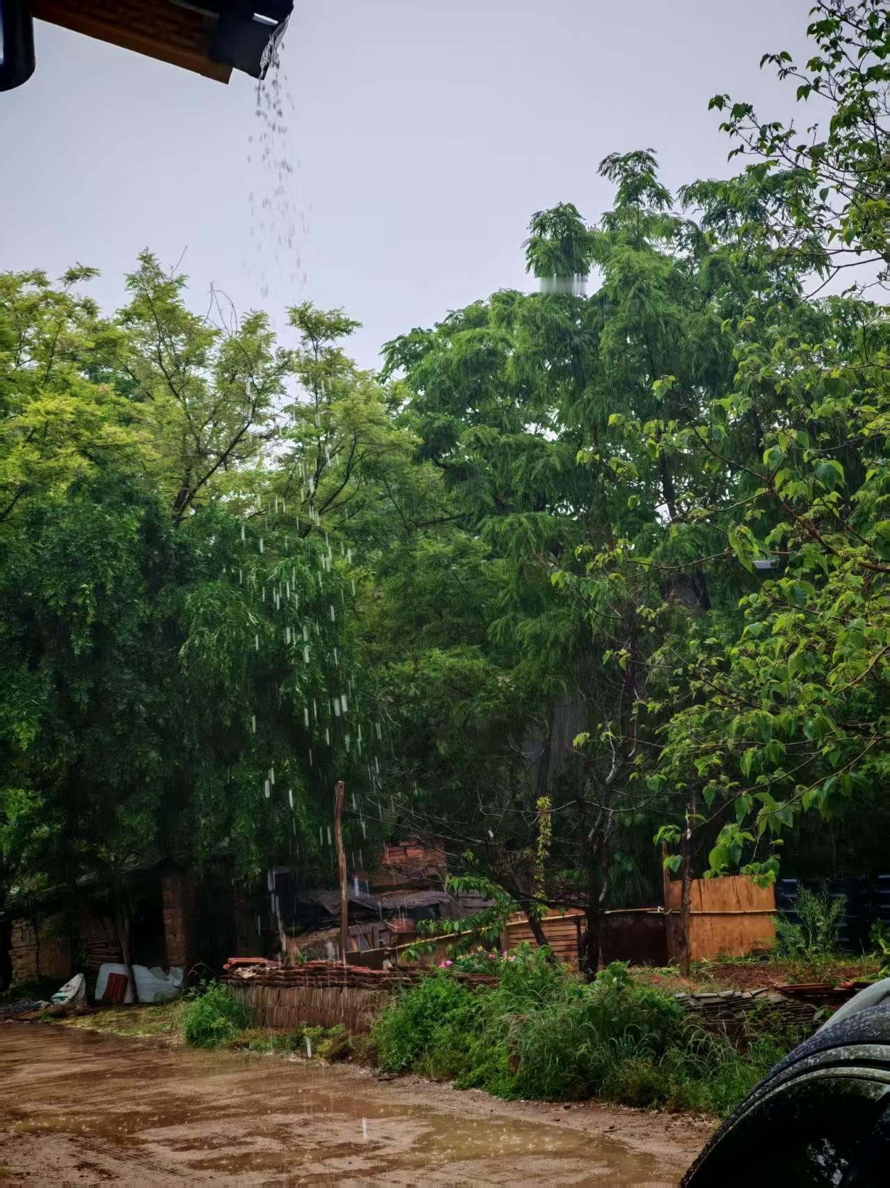 真心建议大家，休息的时候，别总窝在家里。花几块钱，坐上一辆开往乡下的公交车，一直