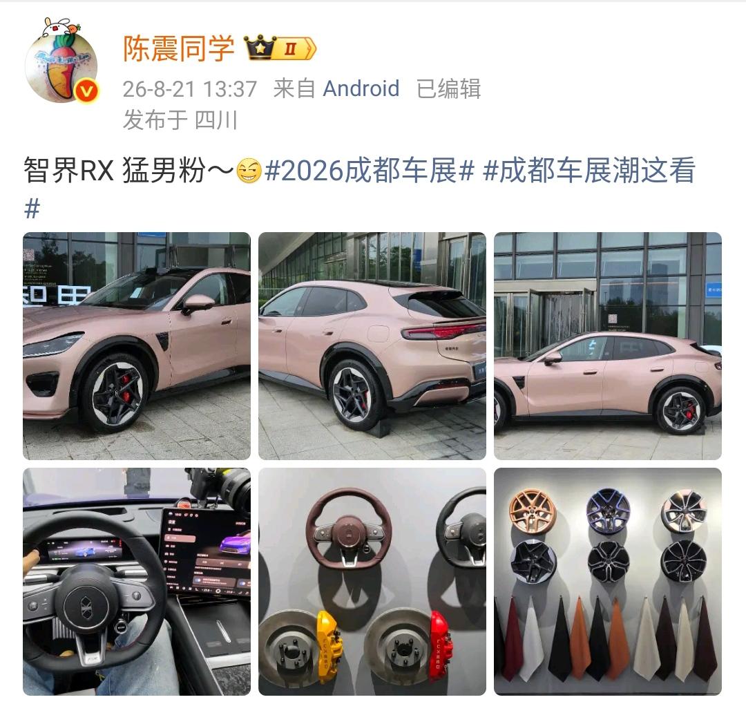 陈震：智界RX猛男粉～[滑稽笑]看起来这个猛男粉还不错的样子，这种运动化SU