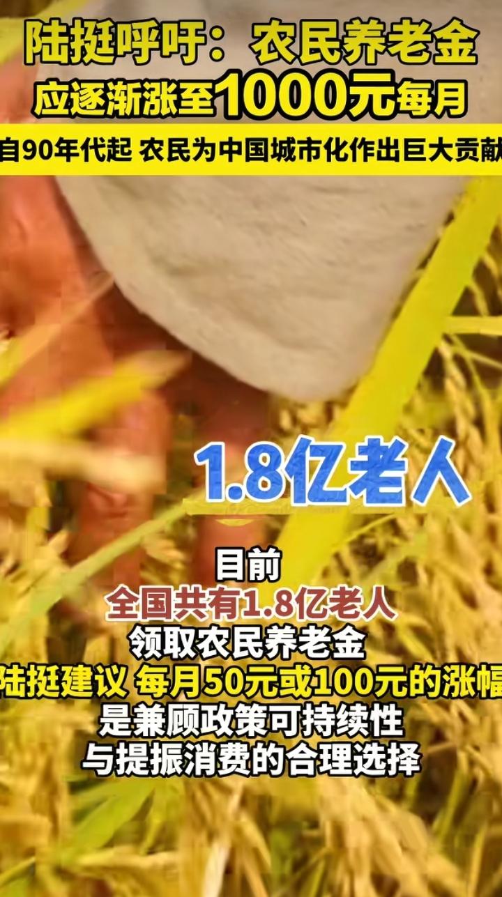 最辛苦的那群人，却拿着最少的养老金，经济学家陆挺呼吁农民养老金应该涨到1000元