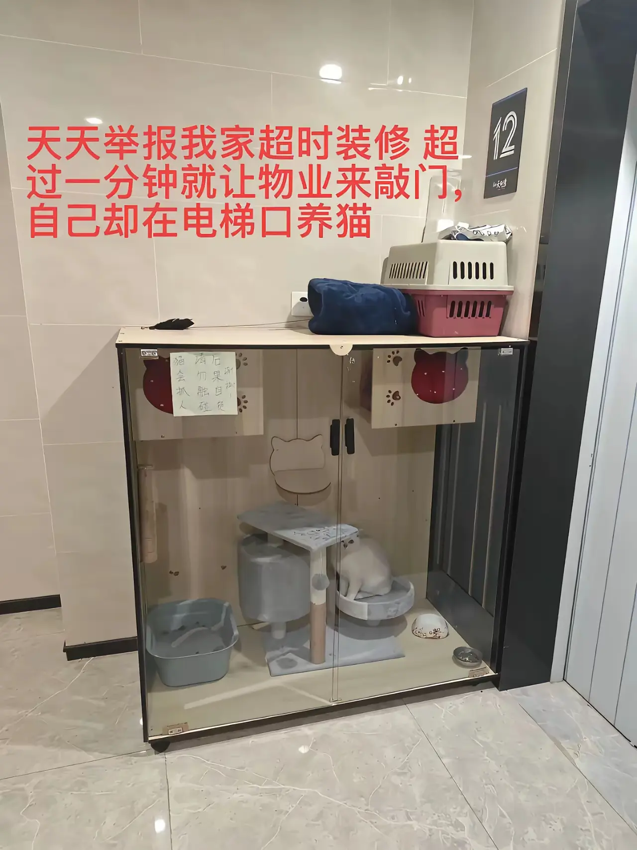 遇到这样的邻居真是倒霉，我家装修的时候超时了，天天举报，现在自己竟然在电梯口养起
