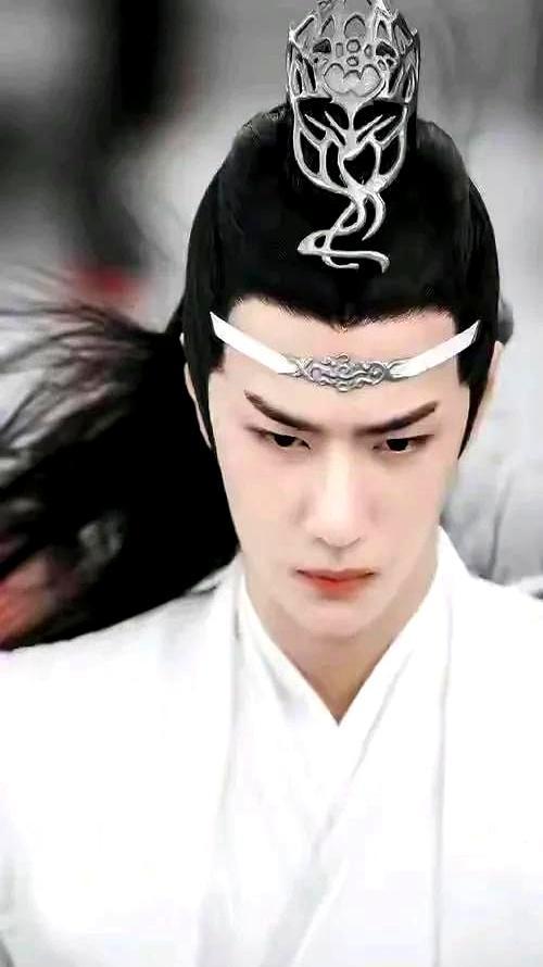 蓝忘机跪在地上，血顺着嘴角往下滴，却死死护着身后蓝家弟子。温晁踩着他的肩，