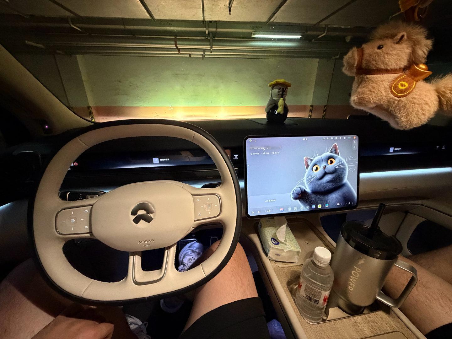 开完豪华车，再开特斯拉虽然开着挺高兴但是这个内饰氛围感差距大太了，[裂开]最离谱的是我这个车是29万
