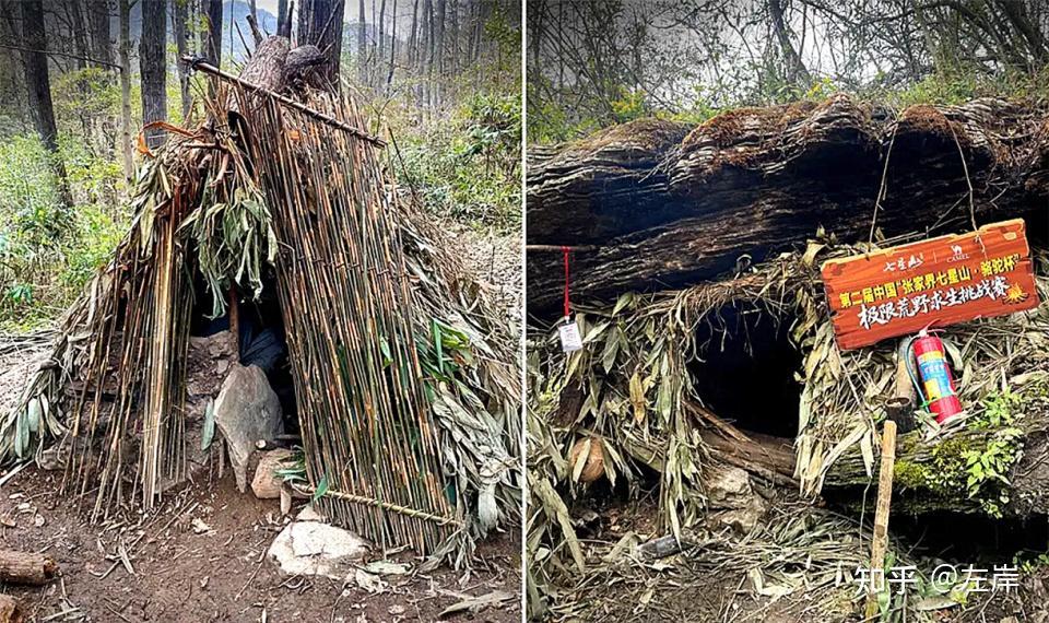 张家界荒野求生赛为何能爆火出圈大自然不是取之不尽，用之不竭的宝藏，真实的荒野求生