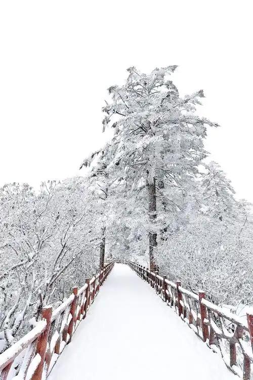 秋天的第一场雪！当天气预报说，哈尔滨迎来秋天第一场雪！广东的小伙伴，还被提醒