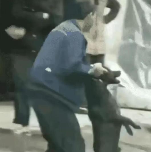 “这次遇到狠人了！”大妈遛大狗不栓绳，狗突然发疯把一个大哥的手臂咬了，大哥忍