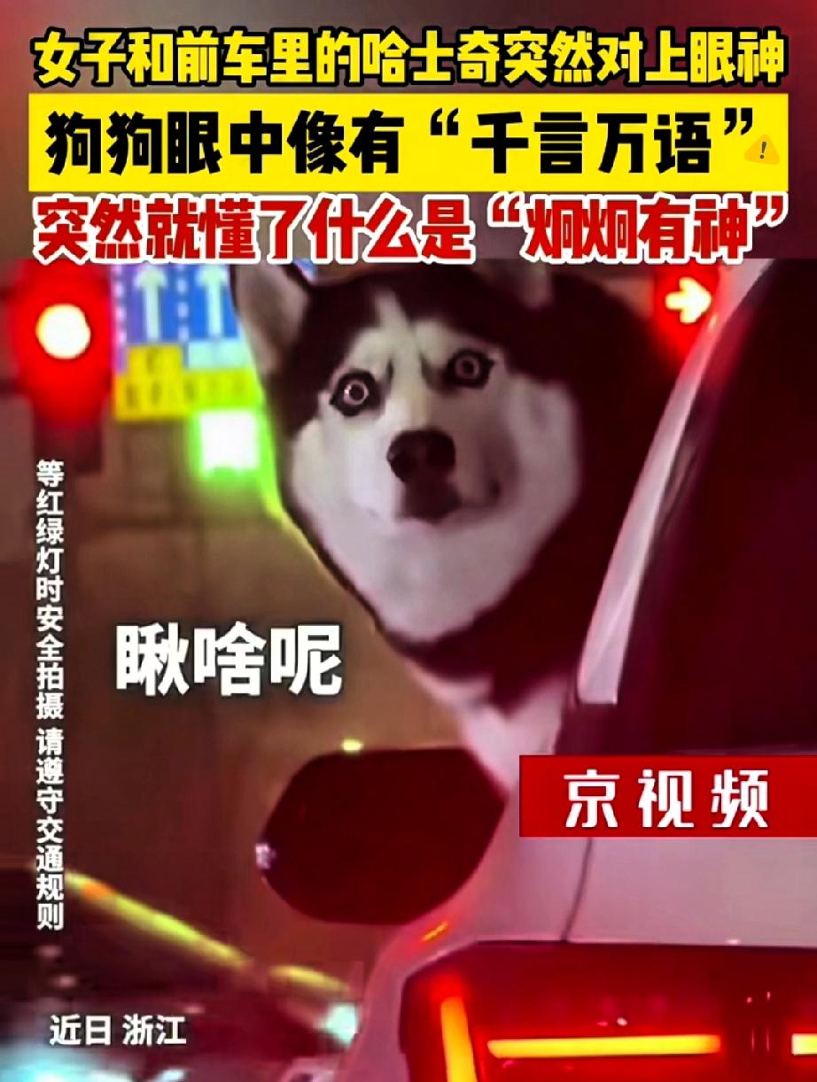 浙江红绿灯路口这幕，简直是打工人的快乐解药！女子刚跟人吵完架，堵在路上正郁