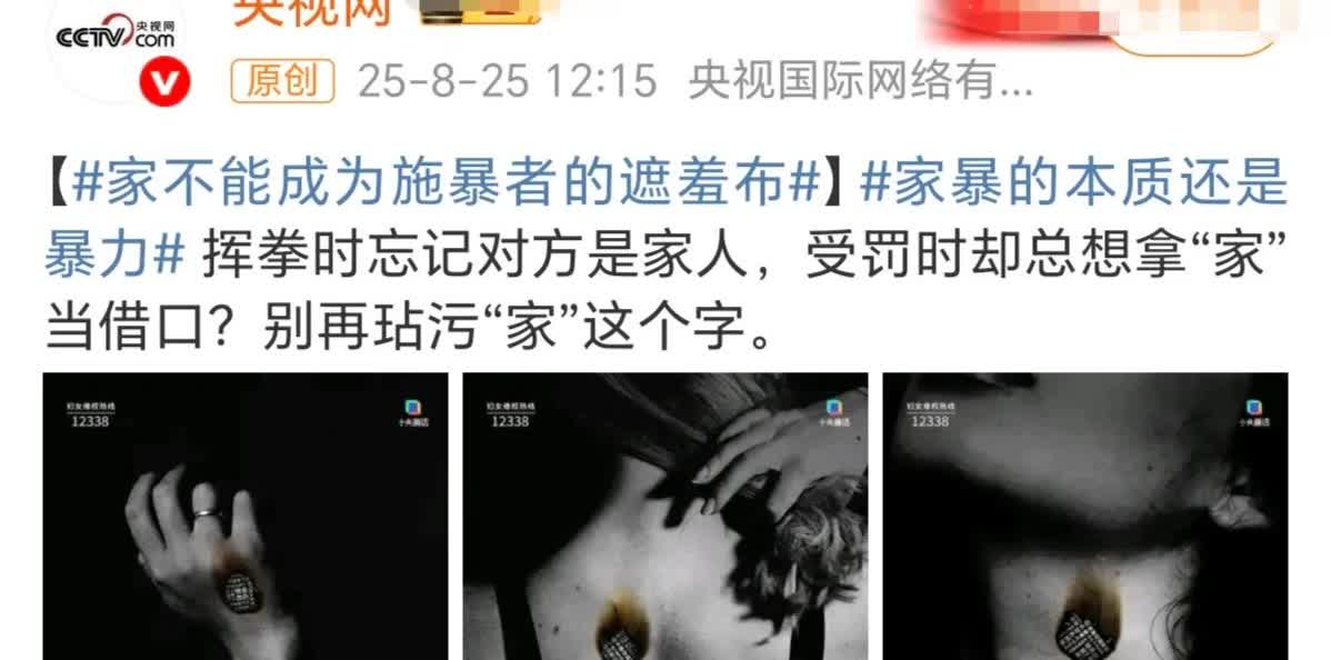 河北孟村事件！央视网发声：“挥拳时忘记对方是家人，受罚时却总想拿“家”当借口？