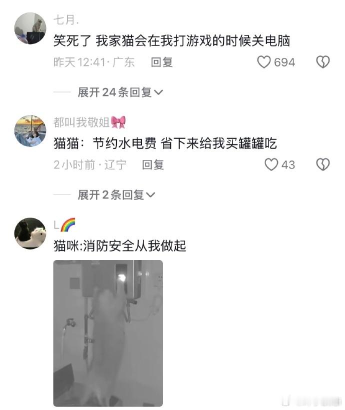 猫🐱：浪费电又浪费水😅冻亖你个老乌龟