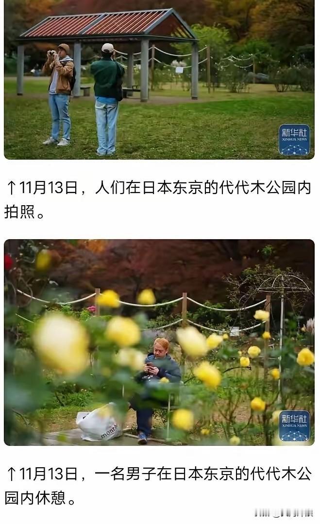 现在的日本是这个样不知日后会是什么样特留此存照文海冲浪点评如此景色