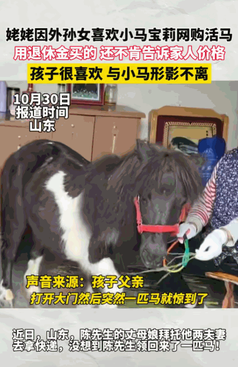 “万万没想到！”山东，一位姥姥因为不会网购，就让女婿教她，没想到她学会了之后，竟