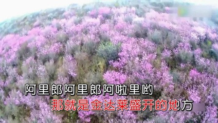 12633894946819454346.jpg?id=0