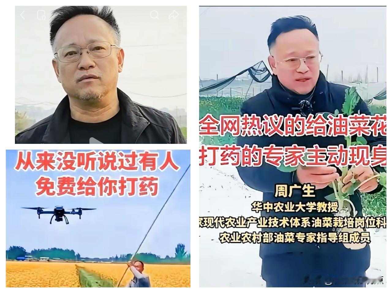 离谱建议刷屏！给油菜花大面积打药，背后藏着啥猫腻？真是被那个建议“盛花期猛