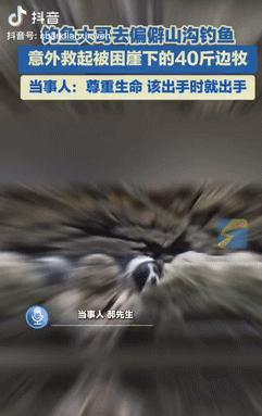 “真积德了！”4月重庆一男子去偏僻山沟钓鱼时，意外发现一只小狗被困在崖下的角落里