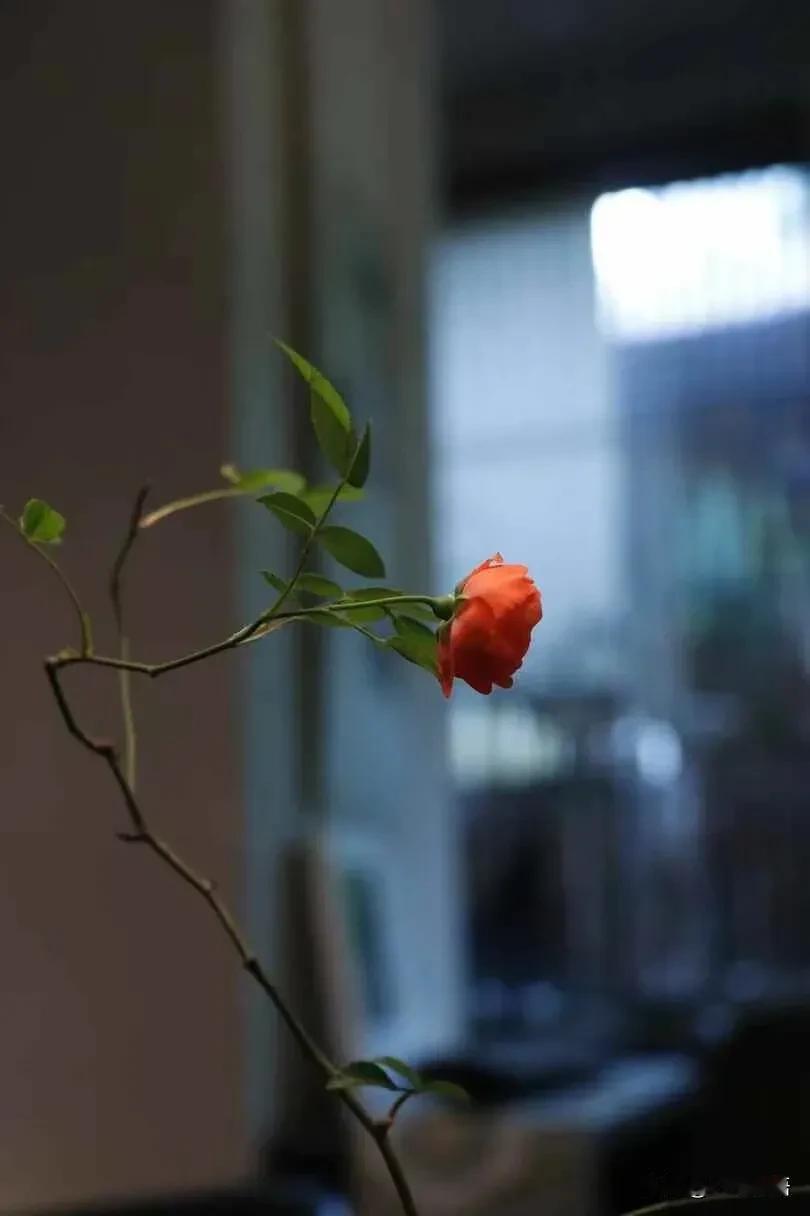 报复一个人最狠的方式，就这样5句话：1.彻底隐形：他的消息，你连看都