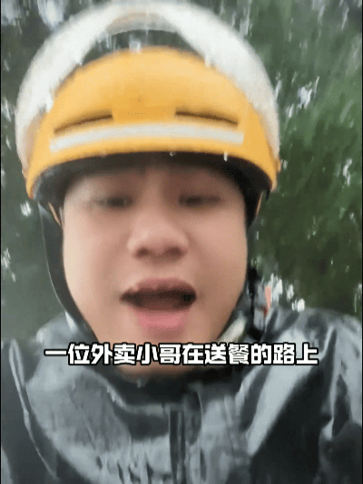 暴雨被困三天的拉布拉多，外卖小哥出手相救，全网暖心众筹改写狗狗一生太心酸！