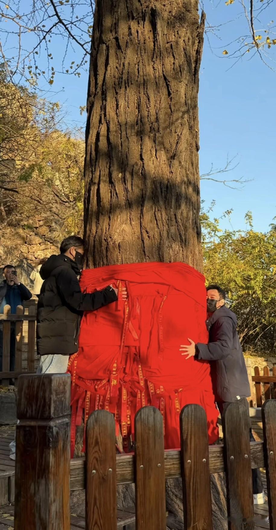 该怎么释放内心的思念和悲痛呢？朱媛媛去世半年内，辛拍青两次来到大孤山，寄托哀